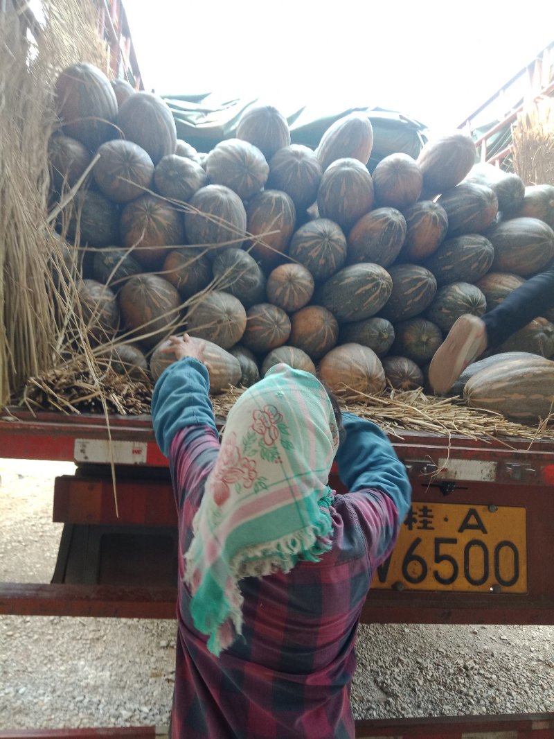 自然熟南瓜