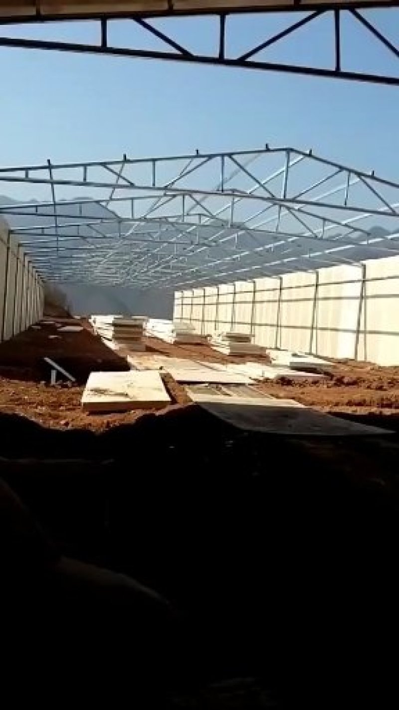 专业搭建大型养殖保温鸡鸭猪舍大棚