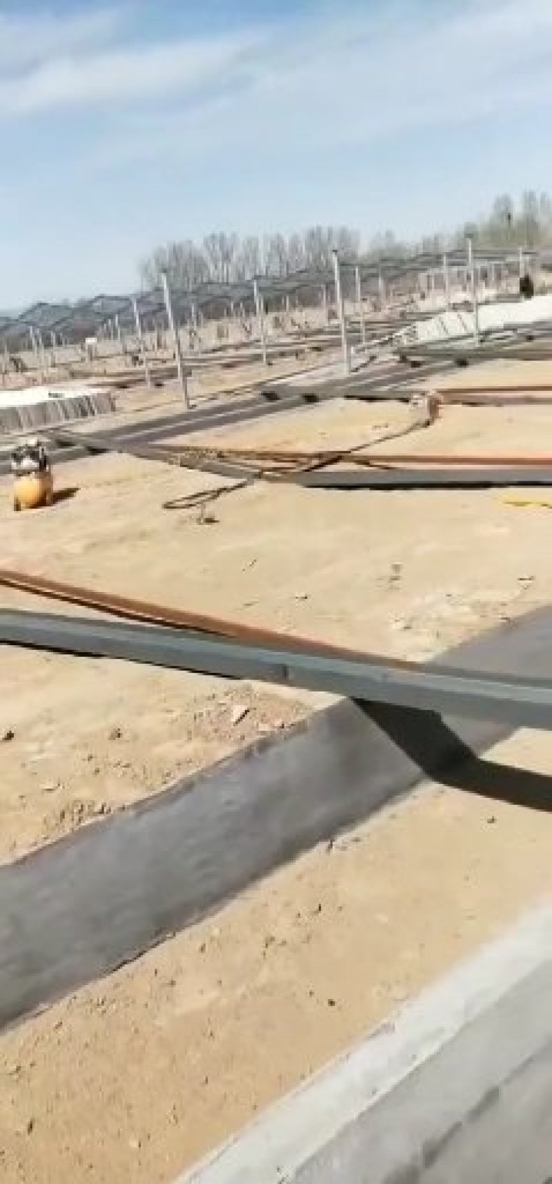 专业搭建大型养殖保温鸡鸭猪舍大棚