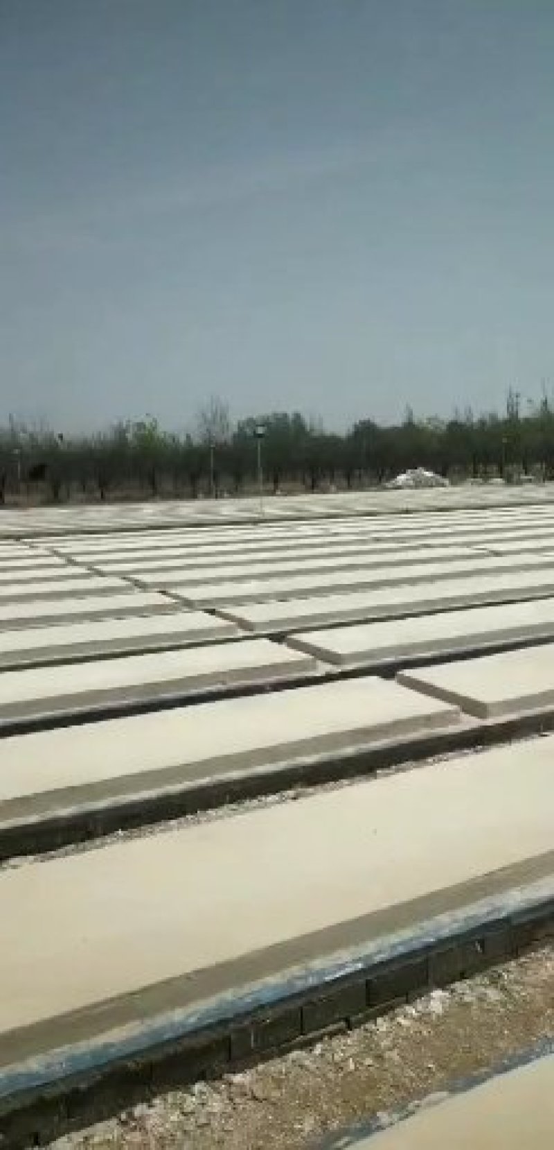 专业搭建大型养殖保温鸡鸭猪舍大棚