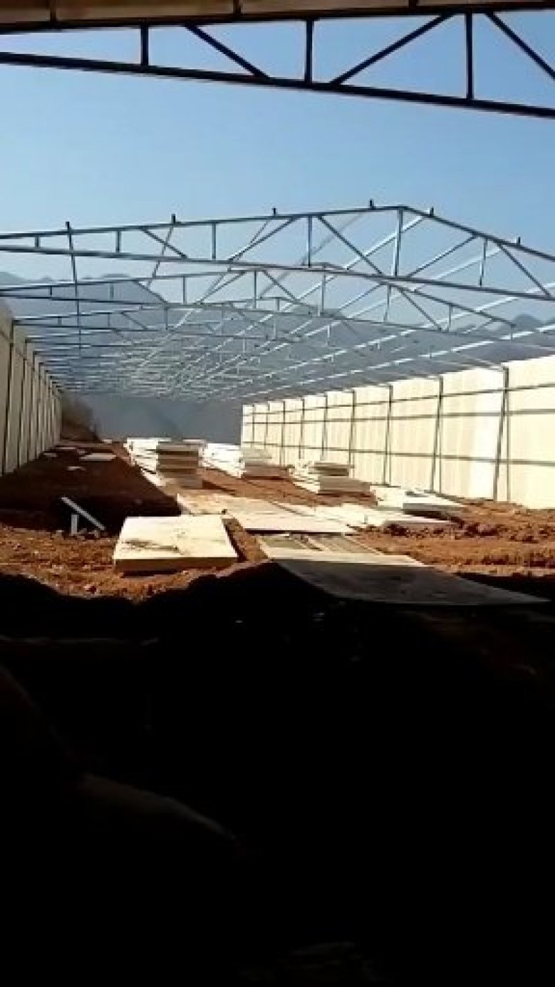 专业搭建大型养殖保温鸡鸭猪舍大棚