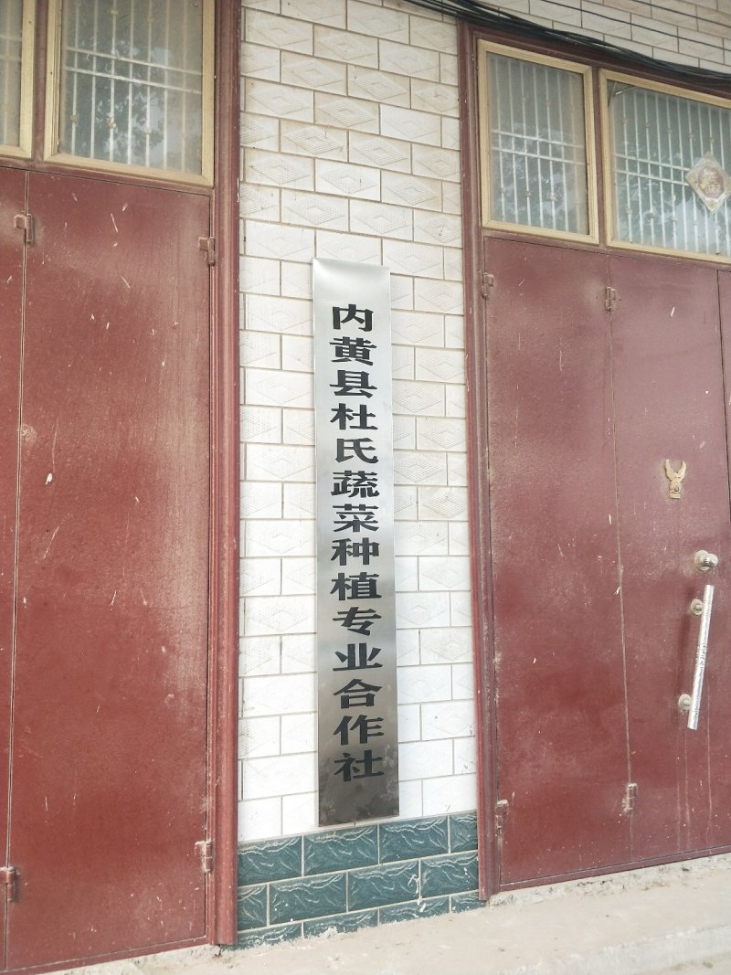 生菜，冷库打冷，基地直发，可开正规发票欢迎各位老板光临。
