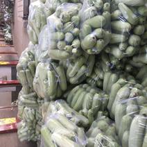 优质西葫芦产地直销还供应各种季节性蔬菜