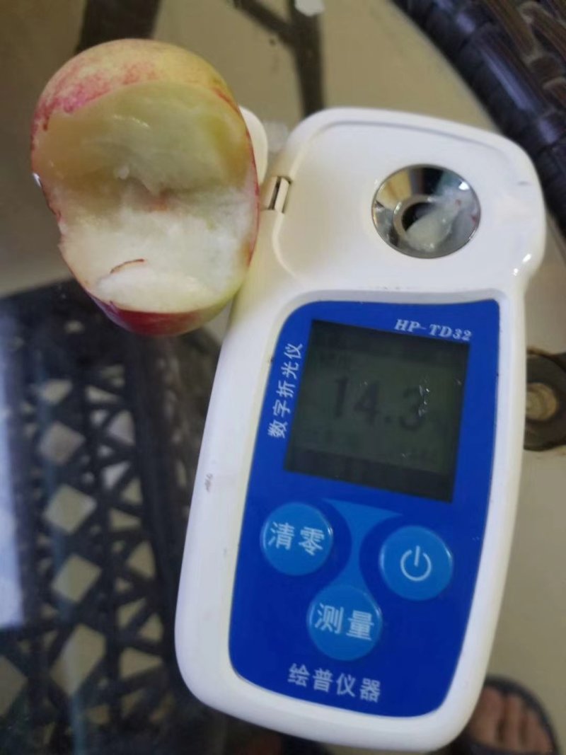 油蟠桃