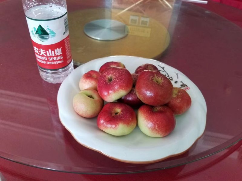 油蟠桃