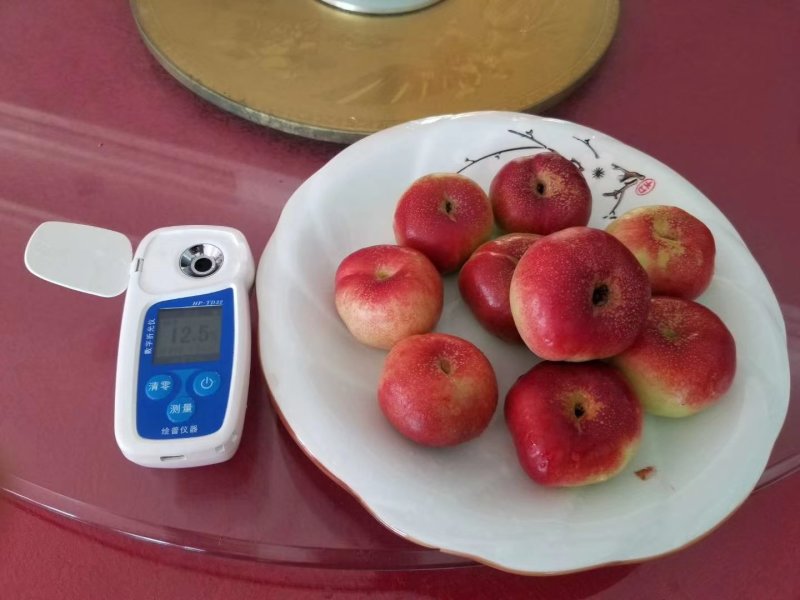 油蟠桃
