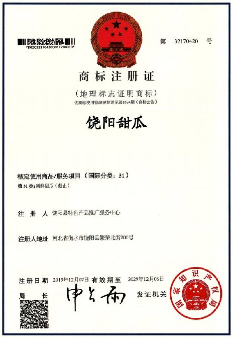 甜瓜久红瑞饶阳甜瓜久红瑞甜瓜全国发货