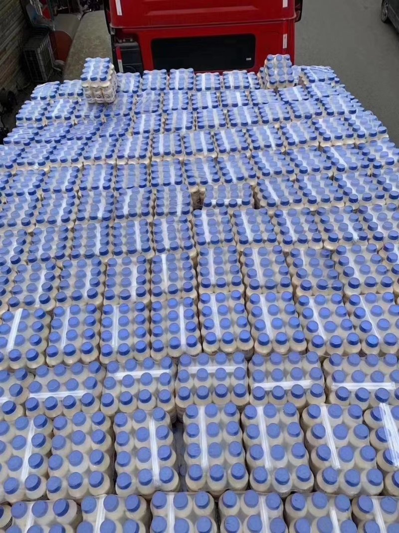 乳酸菌酸奶益生菌胃动力达利园厂价直销电商超市地摊批发