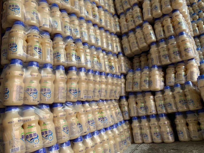 乳酸菌酸奶益生菌胃动力达利园厂价直销电商超市地摊批发