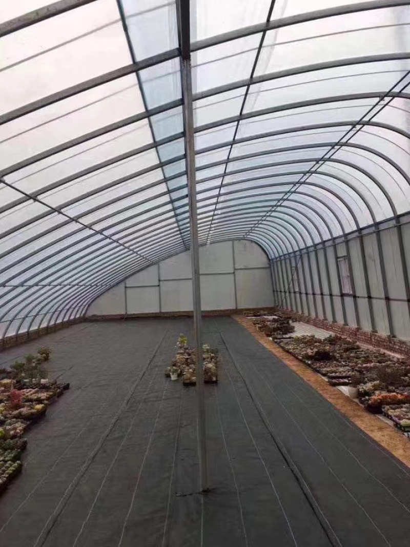 大棚管异型管养殖棚种植棚连动大棚