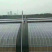 大棚管异型管养殖棚种植棚连动大棚