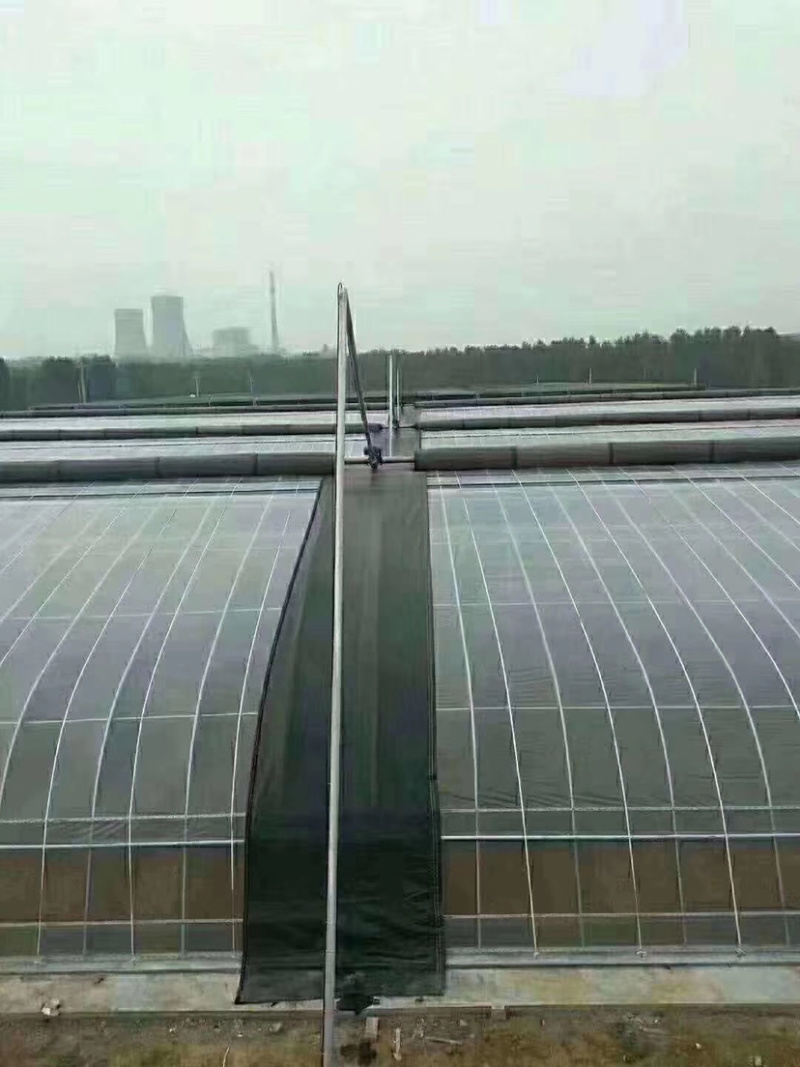 大棚管异型管养殖棚种植棚连动大棚