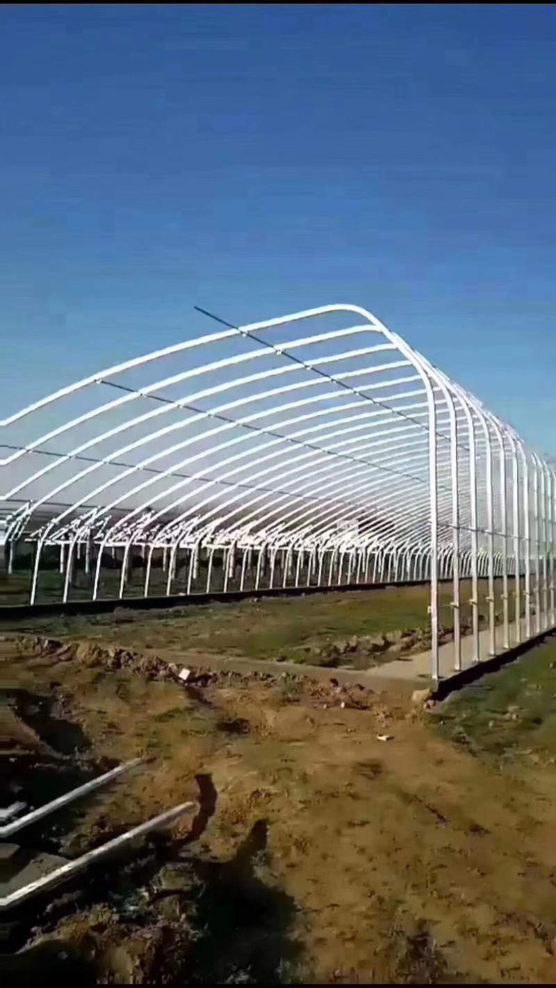 大棚管异型管养殖棚种植棚连动大棚
