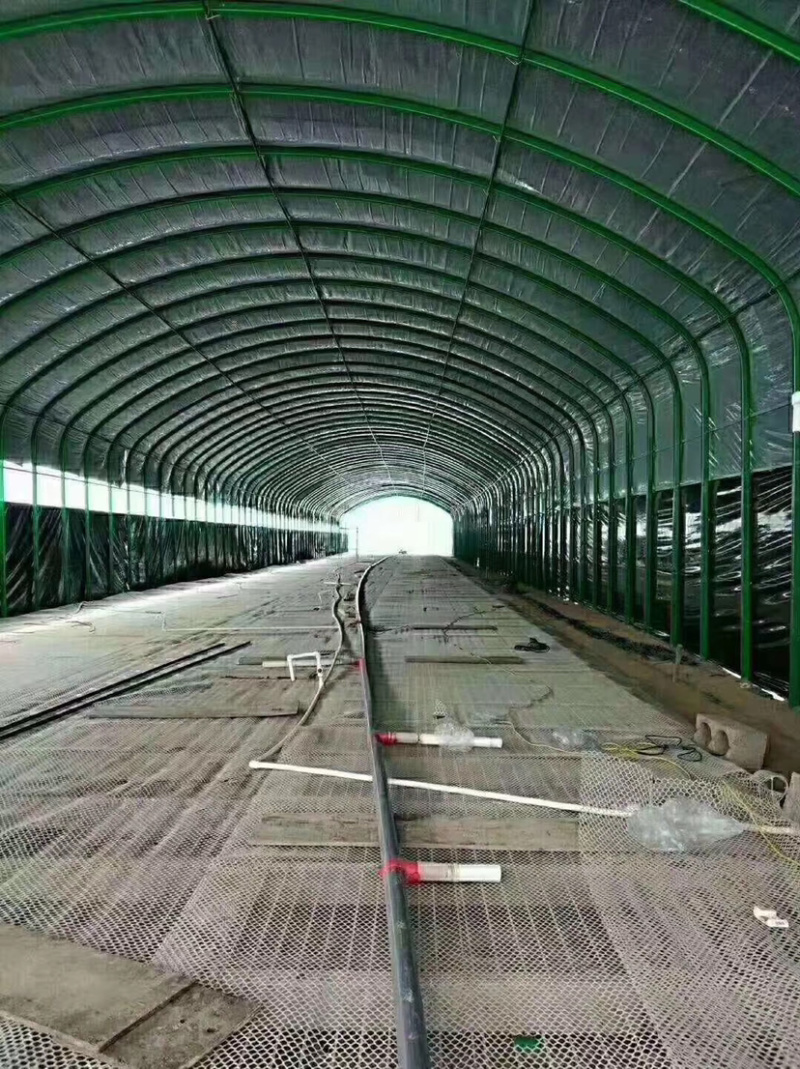大棚管异型管养殖棚种植棚连动大棚