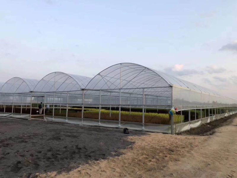 大棚管异型管养殖棚种植棚连动大棚