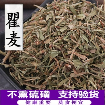 瞿麦产地直销量大从优一手货源