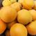 山东杏，精品杏大金太阳杏大量出售市场果，电商，商超，欢迎来电