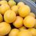 陆地金太阳杏上市，大黄杏，保质保量，口感甜颜色全黄