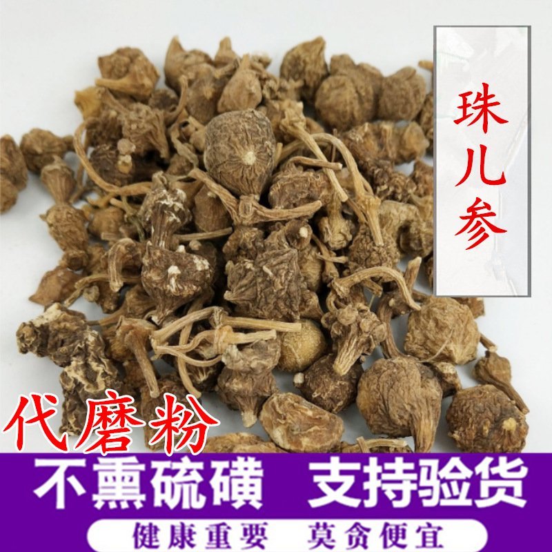 珠子参产地直销量大从优一手货源