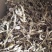 特级切根鹿茸菇，品种齐全