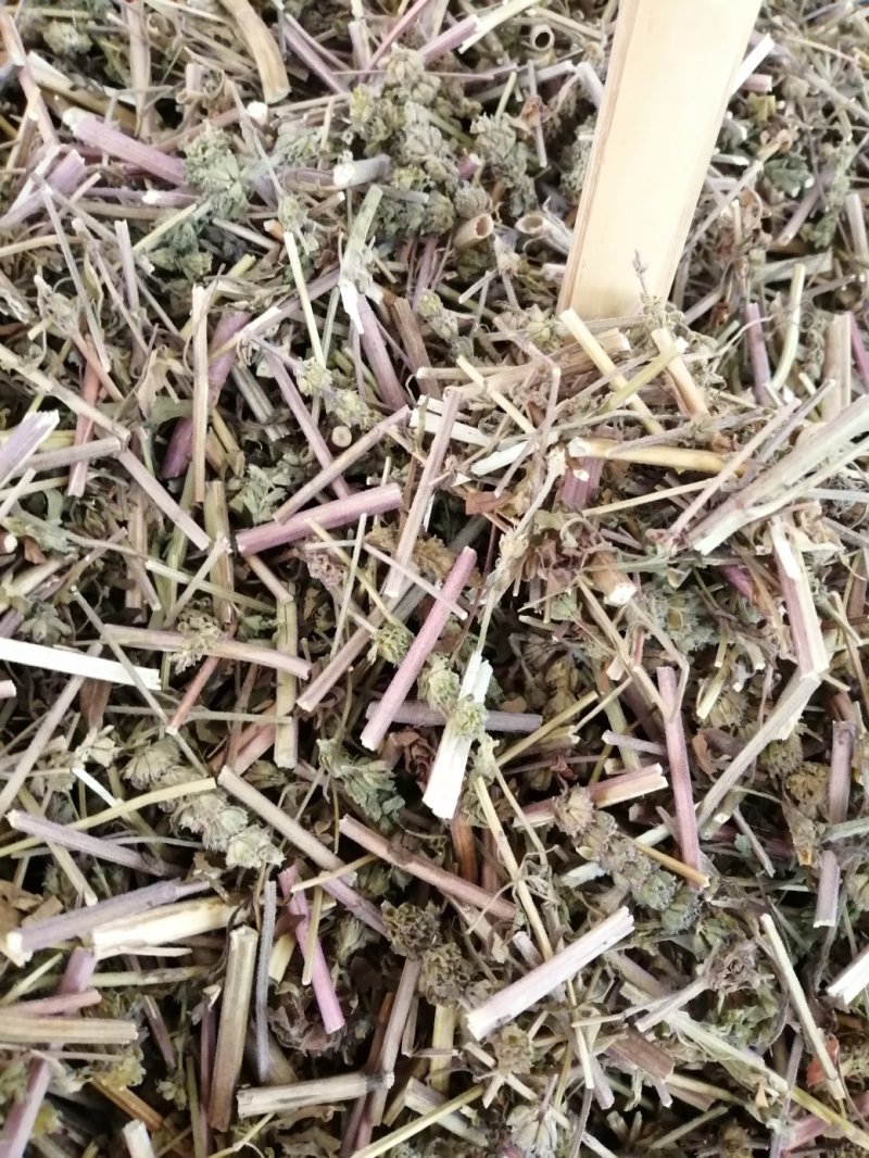 包邮荆芥，荆芥穗（荆芥花），颜色好气味浓郁大量现货供应