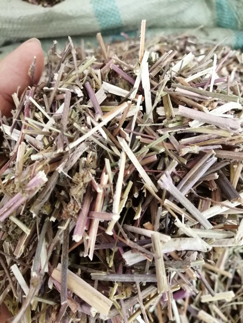 包邮荆芥，荆芥穗（荆芥花），颜色好气味浓郁大量现货供应