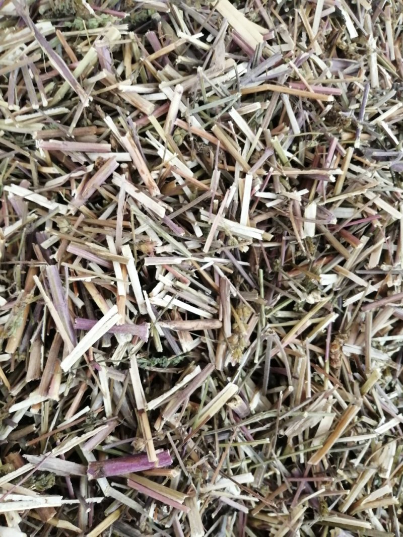 包邮荆芥，荆芥穗（荆芥花），颜色好气味浓郁大量现货供应