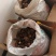 胃部问题，用重楼打粉喝。纯正云南滇重楼（七叶一枝花）