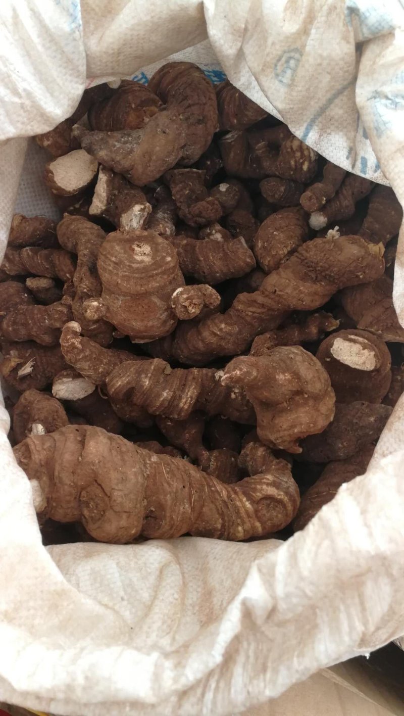胃部问题，用重楼打粉喝。纯正云南滇重楼（七叶一枝花）