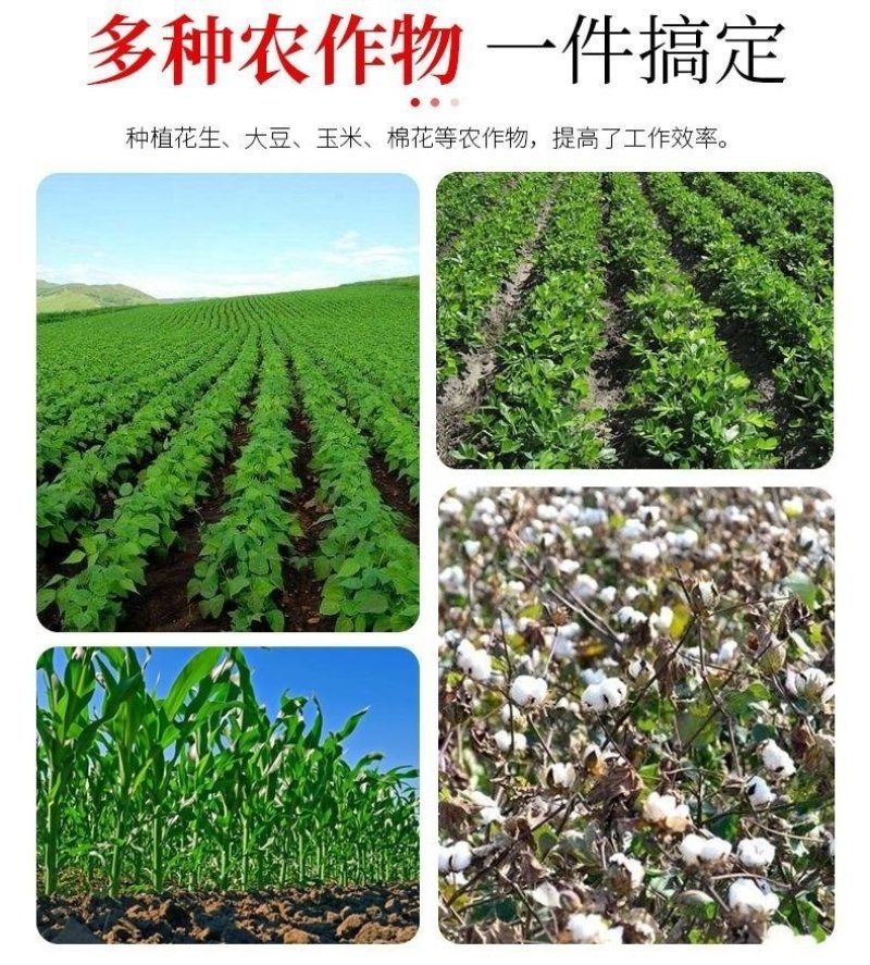 播种器（包邮）手提播种机小麦种机高粱豆子种盒小粒种子种播