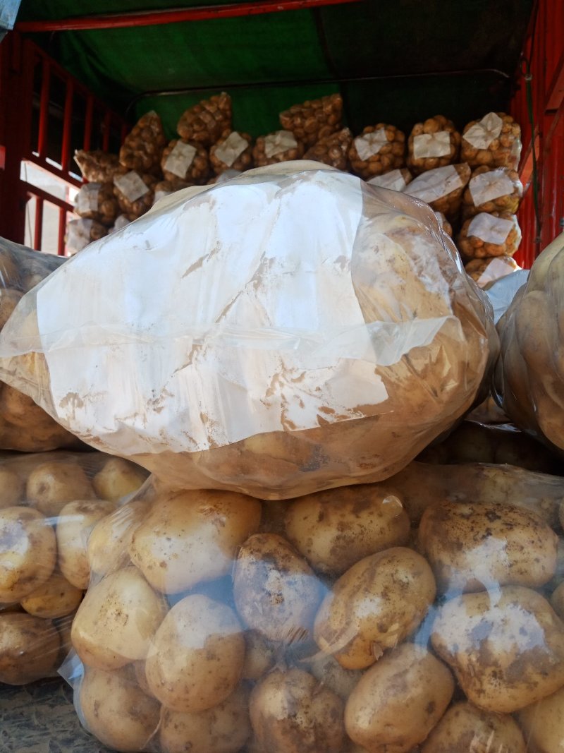 精品土豆，无虫眼，无青头，果面光滑，颜色鲜亮，产地直销！