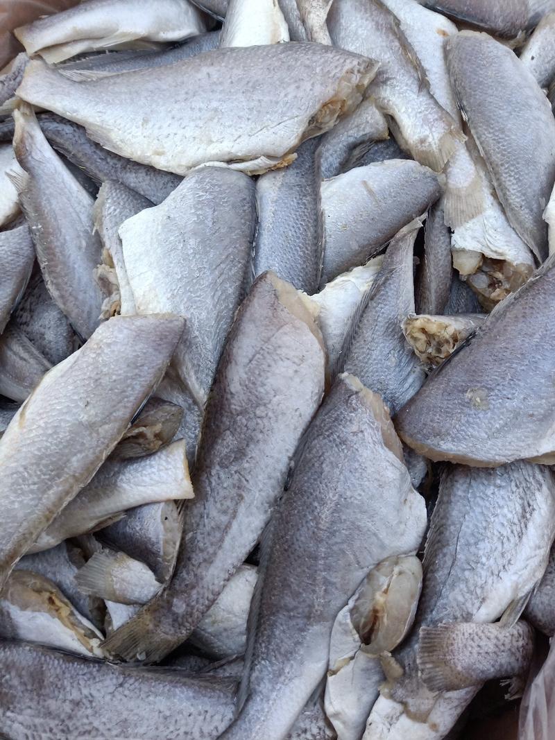 黄花鱼，一款微咸鱼新加工的有大量现货欢迎各地客商骚扰