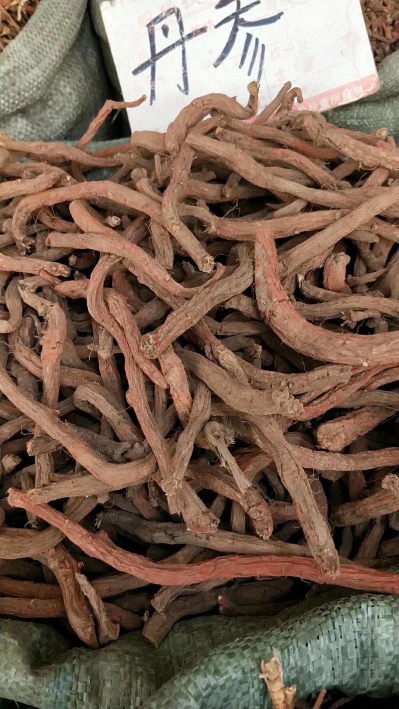 丹参粒，统货丹参和选货丹参均有货供应，货干颜色漂亮