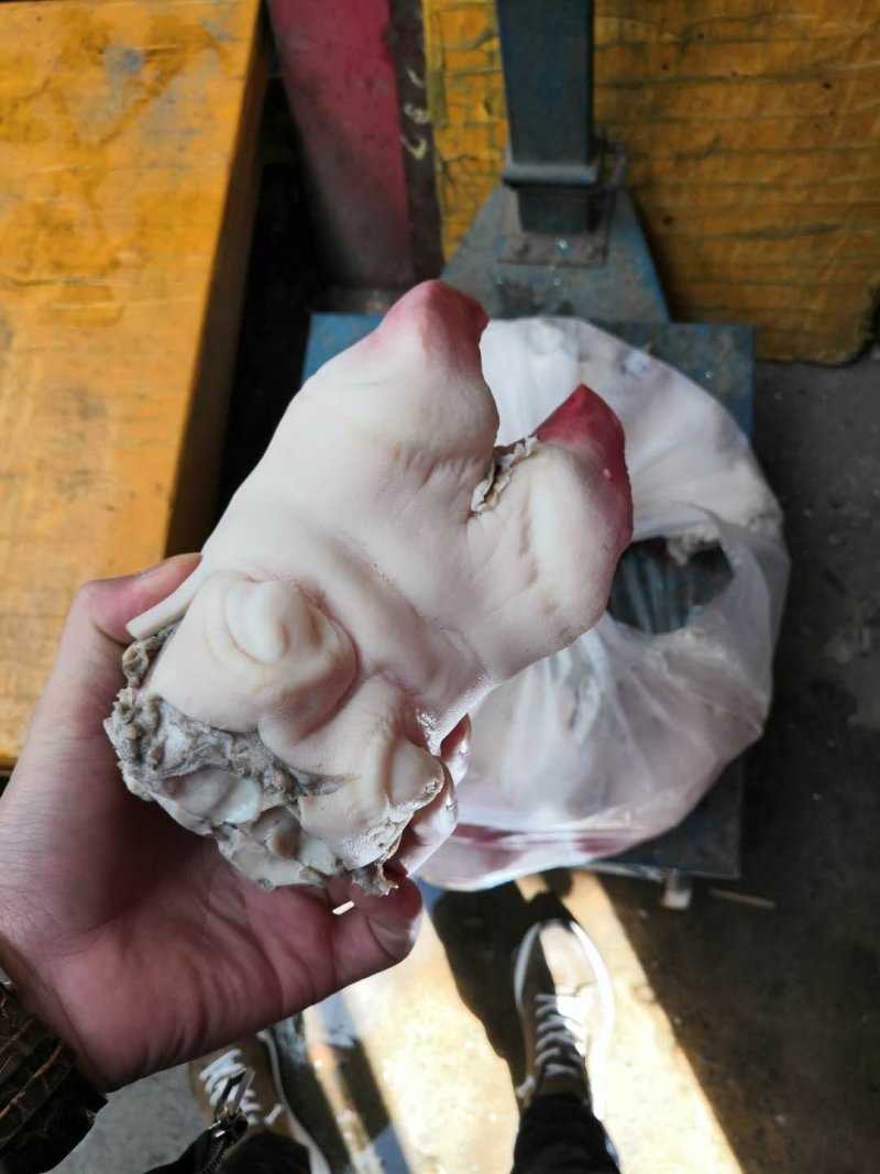 水退短牛蹄半截牛蹄牛脚诚信经营欢迎骚扰