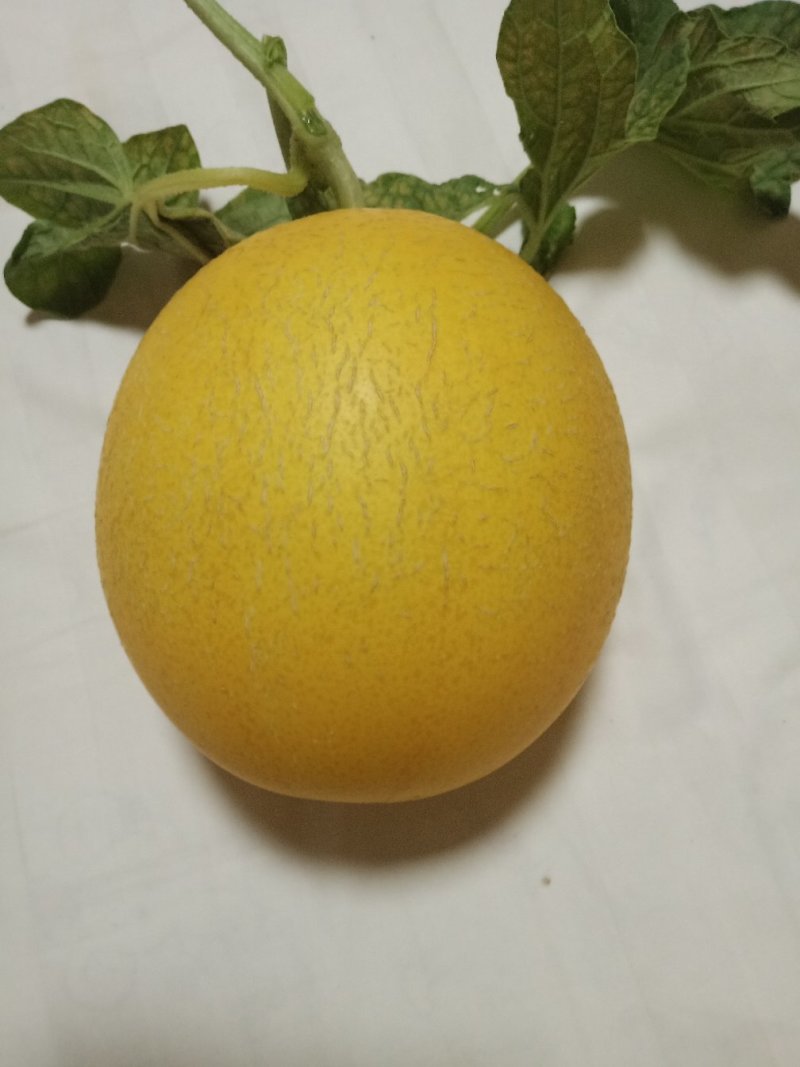 水果