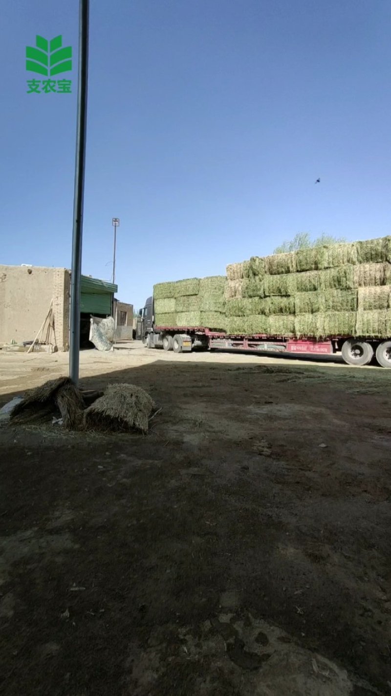 牧草取样器饲草取样器，多功能牧草取样器，干草取样器