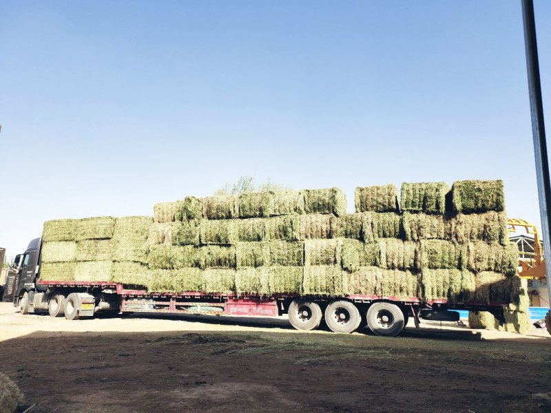 牧草取样器饲草取样器，多功能牧草取样器，干草取样器