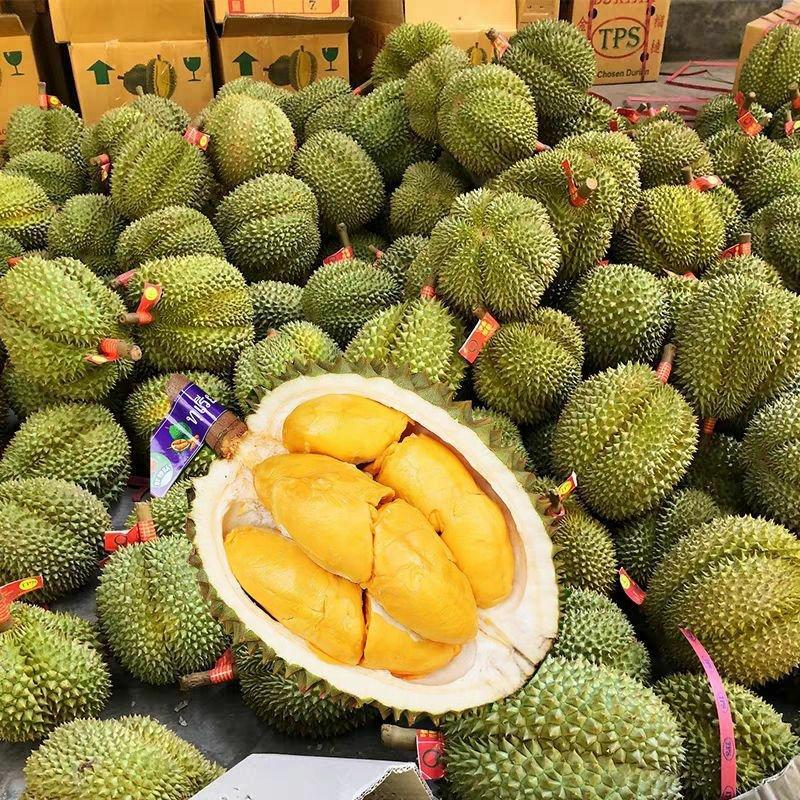 泰国进口甲伦金枕头榴莲批发新鲜水果非猫山王