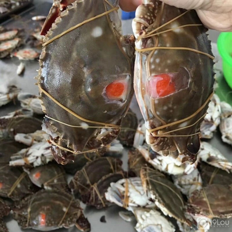 龙英红膏呛蟹即食梭子蟹母蟹宁波舟山特产海鲜呛蟹炝蟹整只咸