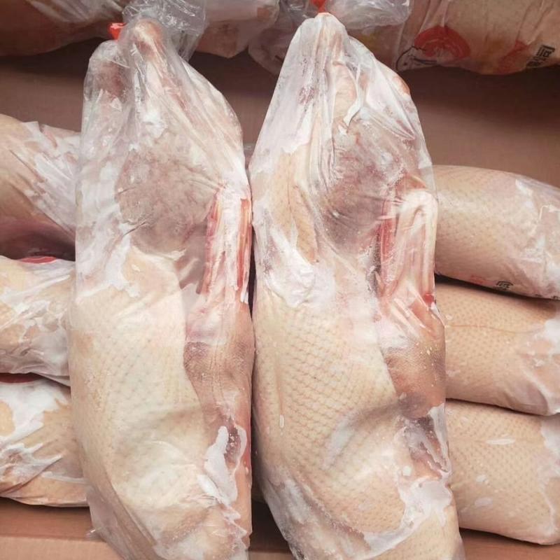 10只2斤每只新鲜冷冻白条小光鸭可做盐水鸭·烤鸭手