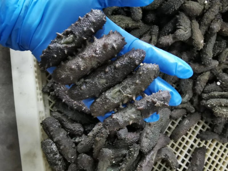 残参拉缸盐加工时被工人铲坏的自己吃经济实惠又营养