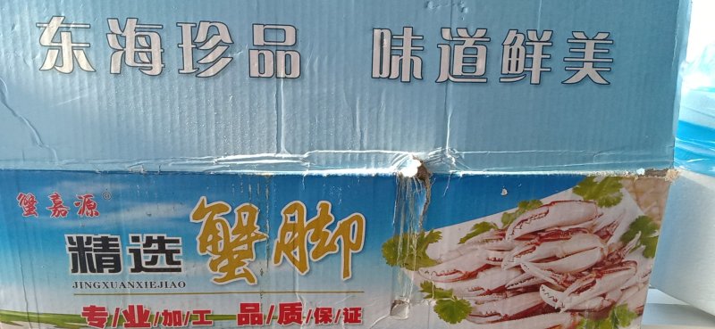 贝类蟹钳十板虾