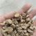 【优质】请对比质量川牛膝，产地直销量大从优，各种规格大货