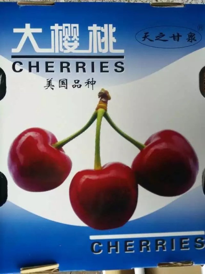 天水大樱桃