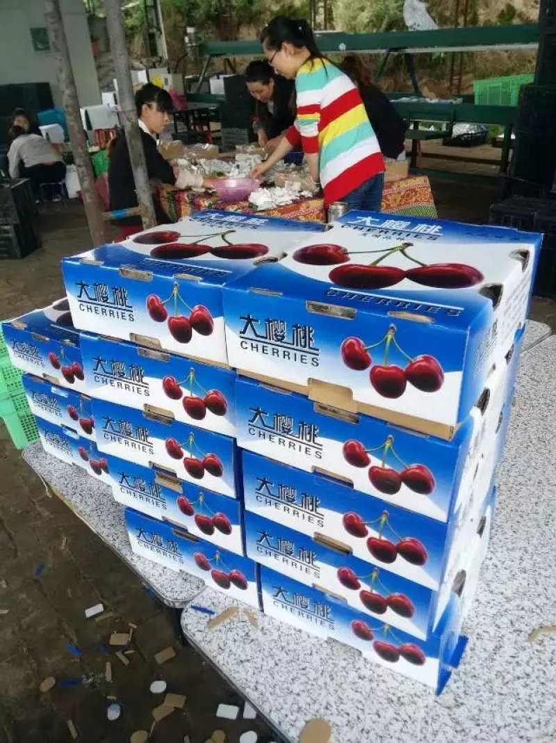 天水大樱桃