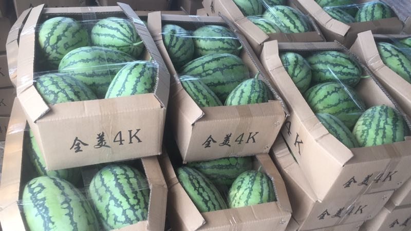 全美4k（甘美4k）一手货源，全国代发，欢迎各大商超市场