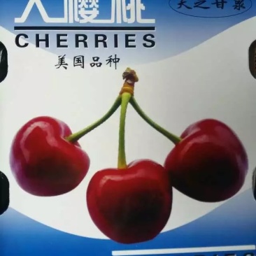 天水套袋大樱桃