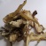 当归无硫过筛当归切片（可磨粉）