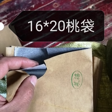 桃袋16*20