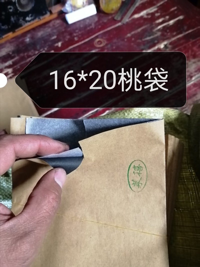 桃袋16*20